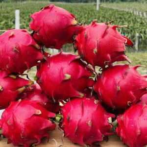 ড্রাগন (৪ কেজি প্যাকেজ)